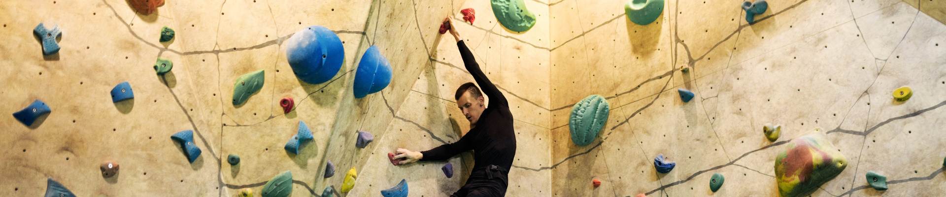 Flexsport banner.jpg