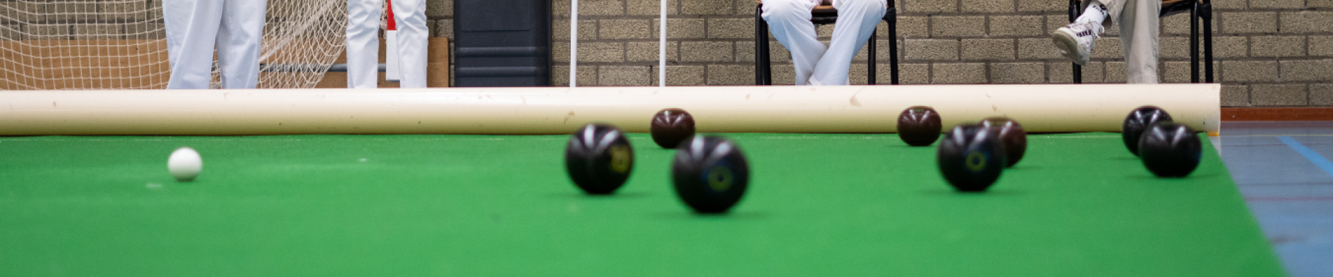 bowls-banner