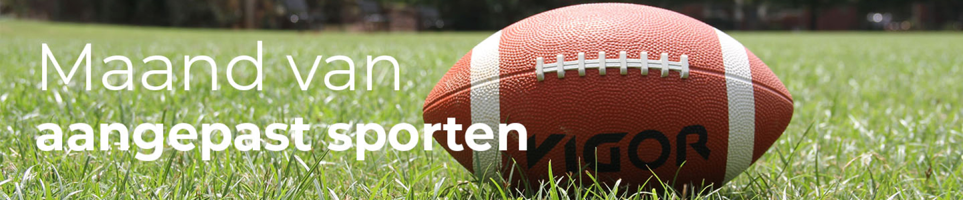 Rugby foto website.jpg