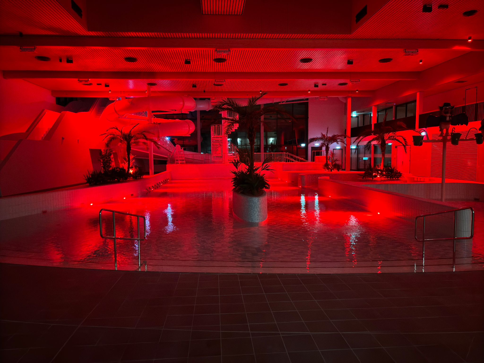 Discozwemmen